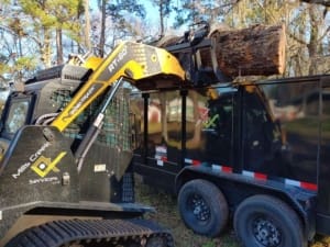Land Clearing - Jacksonville, Florida