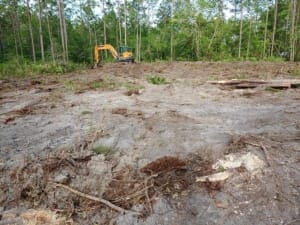 Land Clearing - Jacksonville, Florida