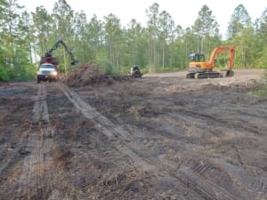 Land Clearing - Jacksonville, Florida
