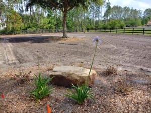 Sitework Services - Mills Creek Services of Jacksonville, Florida