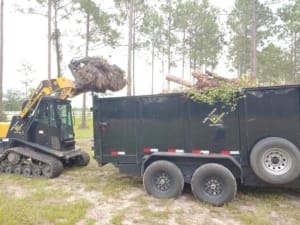 Land Clearing Services Contractor - Jacksonville, Florida