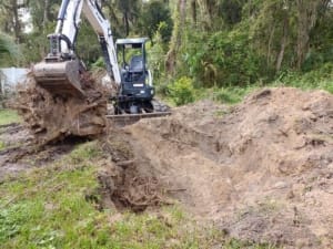 Land Clearing Contractor - Jacksonville, Florida