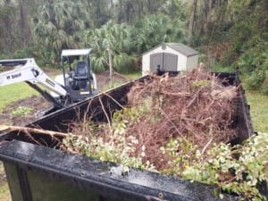 Land Clearing Contractor - Jacksonville, Florida