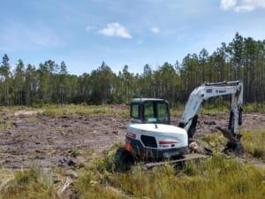 Land Clearing Services - Jacksonville, Florida