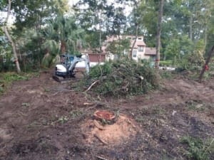 Land Clearing Services - Jacksonville, Florida