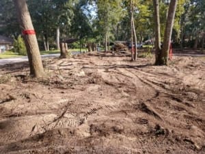 Land Clearing Services - Jacksonville, Florida