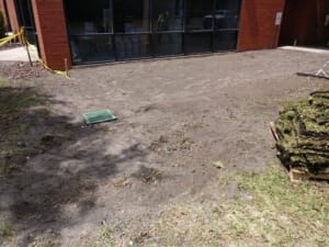 Land Clearing - Jacksonville, Florida