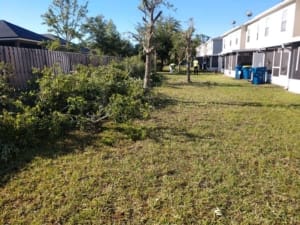 Land Clearing Services - Jacksonville, Florida
