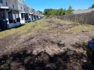 Land Clearing Services - Jacksonville, Florida