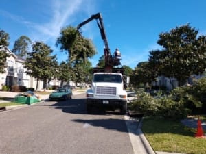Land Clearing Services - Jacksonville, Florida