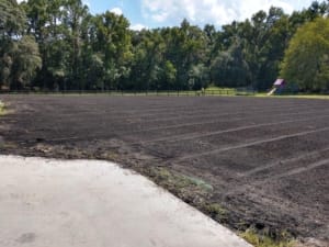 Sitework and Grading - Jacksonville, Florida